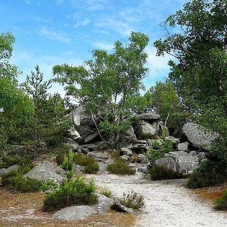 Cocon Napoleon Calme Lägenhet Fontainebleau Exteriör bild