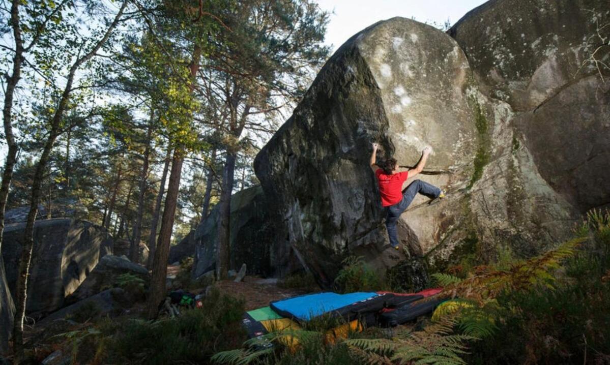 Cocon Napoleon Calme Lägenhet Fontainebleau Exteriör bild