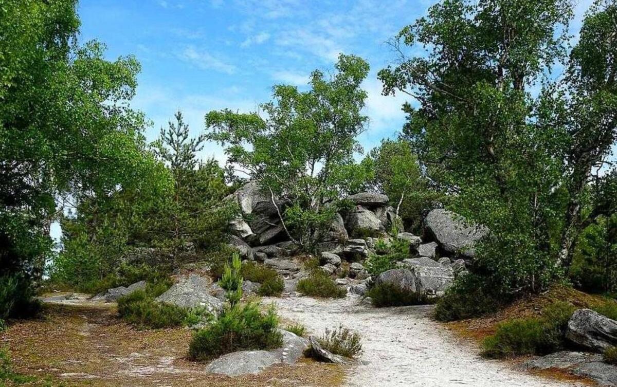 Cocon Napoleon Calme Lägenhet Fontainebleau Exteriör bild
